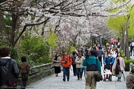 Kinh nghiệm du lịch bụi Tokyo với chi phí dưới 1 triệu đồng mỗi ngày