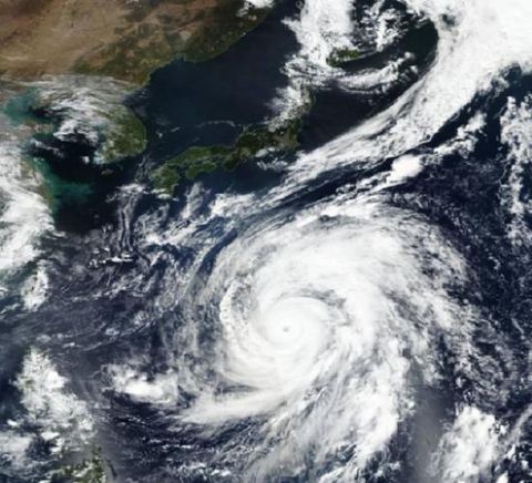 Toàn cảnh siêu bão Hagibis tàn phá Nhật Bản