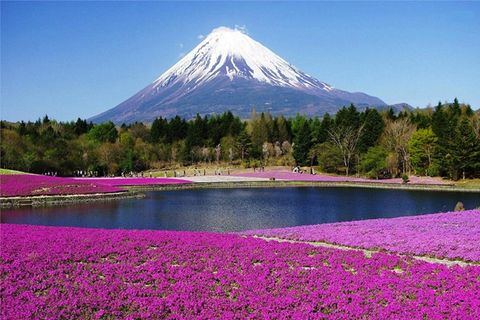 Điểm du lịch nổi bật