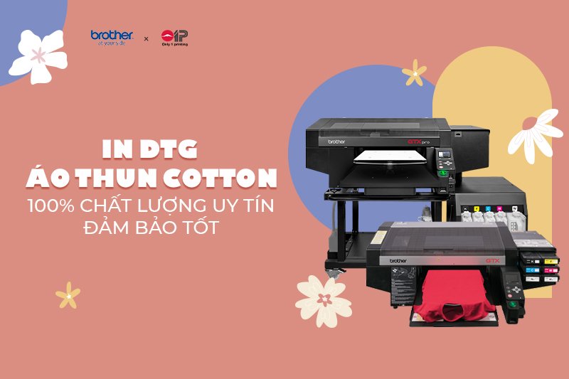 In DTG áo thun cotton 100% chất lượng uy tín cam kết hài lòng
