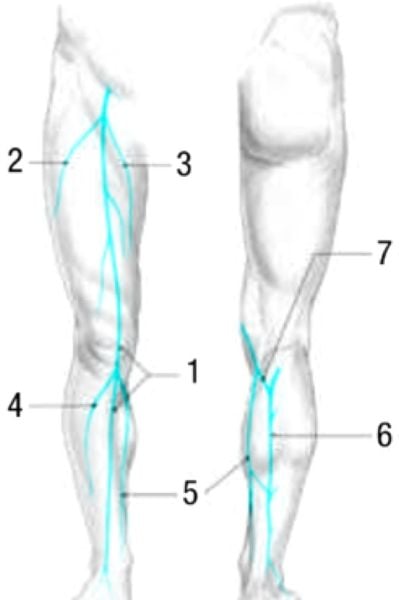 Bên cạnh bệnh suy giãn tĩnh mạch, tĩnh mạch khoeo còn có những vấn đề sức khỏe khác không?

