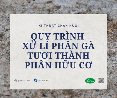 Quy trình xử lý phân gà tươi thành phân hữu cơ