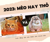 Năm Quý Mão 2023 - Đặc điểm của mèo và thỏ, cùng một năm nhưng lại có 2 con giáp