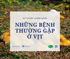 Các bệnh thường gặp ở Vịt