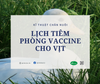 Lịch tiêm phòng vaccine cho vịt