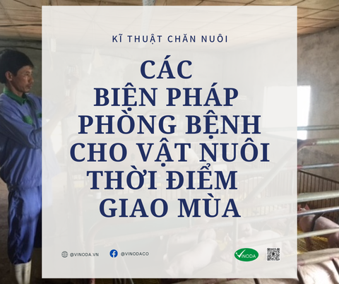 Các biện pháp phòng bệnh vật nuôi thời điểm chuyển giao mùa