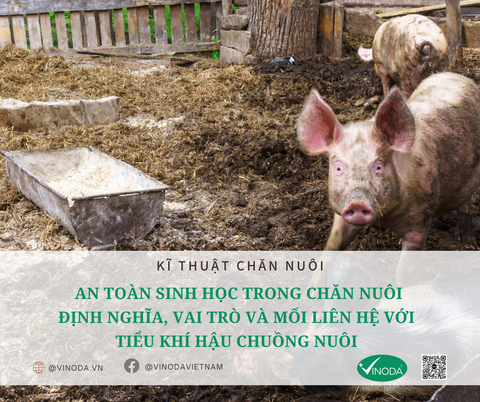 AN TOÀN SINH HỌC TRONG CHĂN NUÔI: ĐỊNH NGHĨA, VAI TRÒ VÀ MỐI LIÊN HỆ VỚI TIỂU KHÍ HẬU CHUỒNG NUÔI