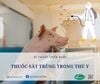 Thuốc Sát Trùng trong Thú Y: Liều Lượng, Cách Sử Dụng Và Những Lưu Ý Không Thể Bỏ Qua