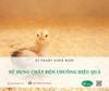 Sử dụng chất độn chuồng hiệu quả