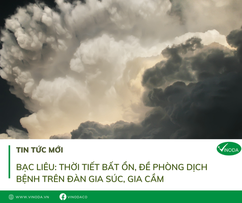 Bạc Liêu: Thời tiết bất ổn, đề phòng dịch bệnh trên đàn gia súc, gia cầm