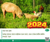 Năm 2024: Dịch bệnh gia súc, gia cầm diễn biến phức tạp