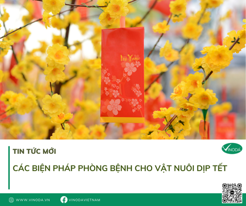 Phòng ngừa dịch bệnh đàn vật nuôi dịp Tết