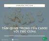 Tầm quan trọng của canxi với thú cưng