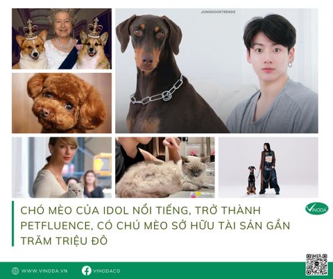 Chó mèo của các Idol nổi tiếng, trở thành Petfluence cả triệu follow, có chú mèo sở hữu tài sản gần trăm triệu đô