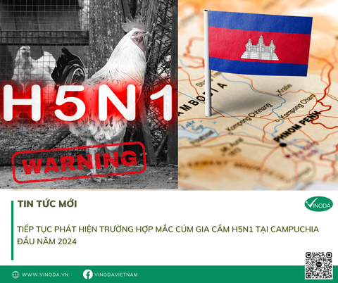 Tiếp tục phát hiện trường hợp mắc Cúm gia cầm H5N1 tại Campuchia đầu năm 2024