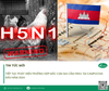 Tiếp tục phát hiện trường hợp mắc Cúm gia cầm H5N1 tại Campuchia đầu năm 2024
