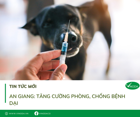 An Giang: Tăng cường phòng, chống bệnh dại