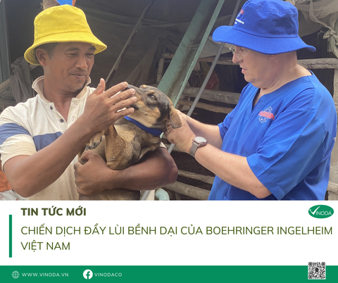 Chiến dịch đẩy lùi bệnh dại của Boehringer Ingelheim Việt Nam