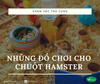 Những đồ chơi cho chuột Hamster