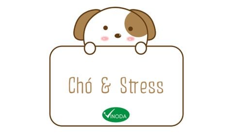 Chó & Stress