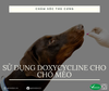 Sử dụng Doxycycline cho chó mèo