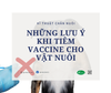 Những lưu ý khi tiêm vaccine cho vật nuôi