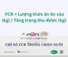 CHỈ SỐ (FCR) TRONG CHĂN NUÔI