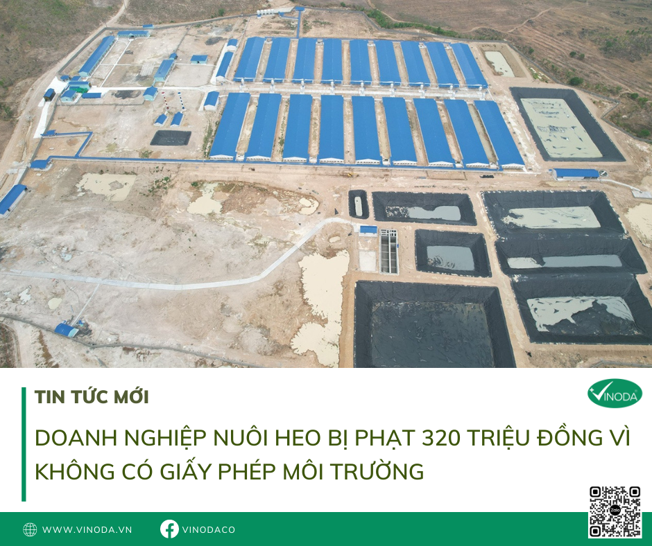 Doanh nghiệp nuôi heo bị phạt 320 triệu đồng vì không có giấy phép môi