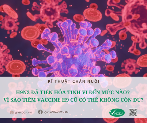 TÌNH HÌNH DỊCH TỄ VÀ BIẾN ĐỔI GEN CỦA VIRUS CÚM A/H9 TRÊN GIA CẦM