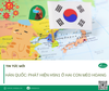 Hàn Quốc: phát hiện H5N1 ở hai con mèo hoang