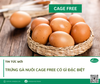 Trứng gà nuôi Cage-Free có gì đặc biệt?