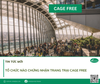 Tổ chức nào chứng nhận trang trại Cage Free?