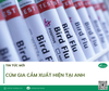 Cúm gia cầm H5N1 xuất hiện tại Anh