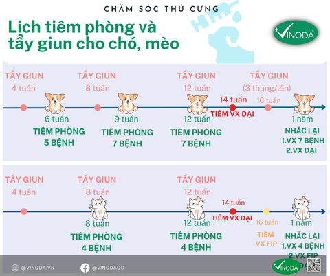 Lịch tiêm vaccine và tẩy giun cho chó mèo