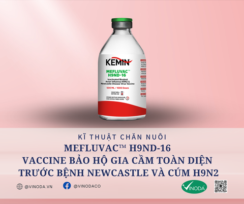 MEFLUVAC™ H9ND-16 - Vaccine bảo hộ gia cầm toàn diện trước bệnh Newcastle và cúm H9N2