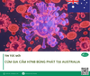 Cúm gia cầm H7N8 bùng phát tại Australia