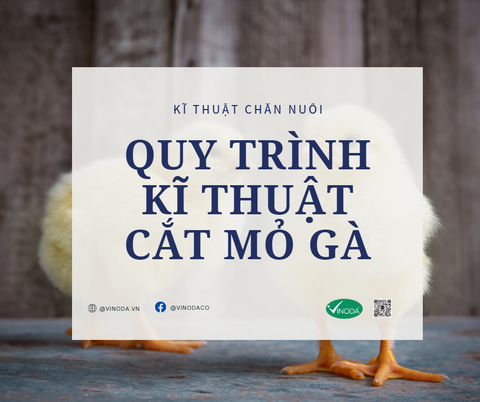 QUY TRÌNH KĨ THUẬT CẮT MỎ GÀ
