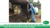 Gia Lai: Công bố dịch bệnh viêm da nổi cục trên trâu, bò tại xã Ia Pết & xã Đak Djrăng