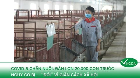 Bên lề 