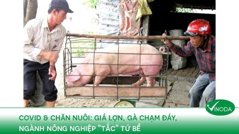 Bên lề 