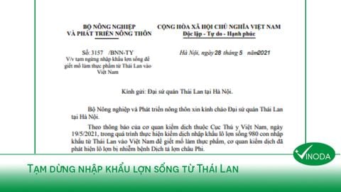 Vì sao tạm dừng nhập khẩu lợn sống từ Thái Lan?