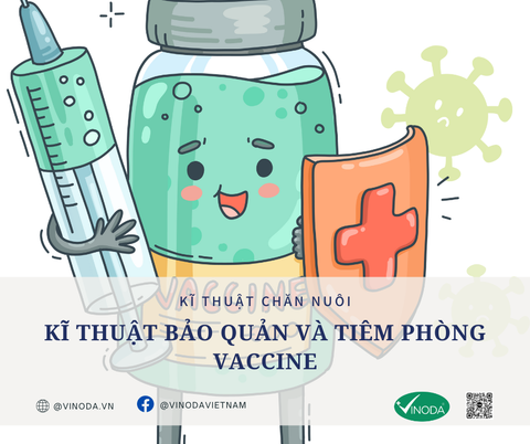 KĨ THUẬT BẢO QUẢN VÀ TIÊM PHÒNG VACCINE CHO VẬT NUÔI