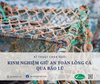 KINH NGHIỆM GIỮ AN TOÀN LỒNG CÁ QUA BÃO LŨ