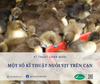 Một số kĩ thuật nuôi vịt trên cạn