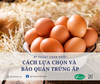 CÁCH LỰA CHỌN VÀ BẢO QUẢN TRỨNG ẤP