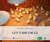 LƯU Ý KHI ÚM GÀ