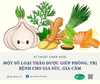 MỘT SỐ LOẠI THẢO DƯỢC GIÚP PHÒNG VÀ ĐIỀU TRỊ BỆNH CHO VẬT NUÔI