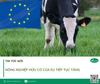Nông nghiệp hữu cơ của EU tiếp tục tăng
