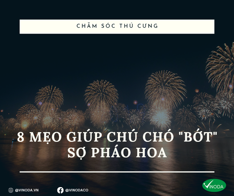 8 MẸO GIÚP MỘT CHÚ CHÓ 