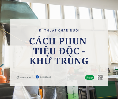 CÁCH PHUN TIÊU ĐỘC KHỬ TRÙNG